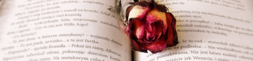 Book, rose, Valentine's Day gift